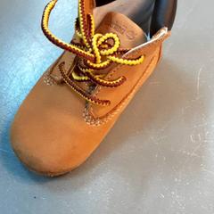 Schuh, gemeldet von Diergaarde Blijdorp über iLost