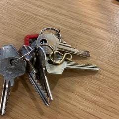 سلسلة المفاتيح، كما تم الإبلاغ عنه بواسطة Gemeente Alkmaar عبر iLost