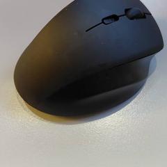Rato, como reportado por Padualaan 101 utilizando o iLost