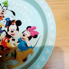 플레이트 Mickey mouse, iLost를 사용하여 Beekse Bergen Resorts en Hotel에 보고됨