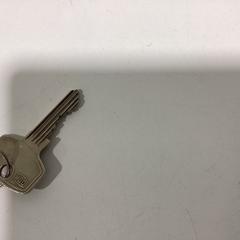 Nyckel - 150326 HZH3, rapporterat av Ziggo Dome med iLost