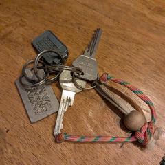 Sleutelbos, gerapporteerd met iLost