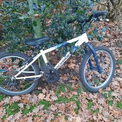 Kinderfiets, iLost에 보고됨