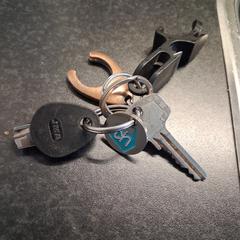 Sleutelbos, come riportato a iLost