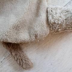 Plüsch-klaps Beige, gemeldet von DierenPark Amersfoort über iLost