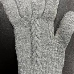 Handschoen Grijs, zoals gemeld door Arriva Vechtdallijnen met iLost