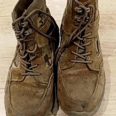 Kleidung Schoenen, gemeldet von Regio Antwerpen - Brussel über iLost