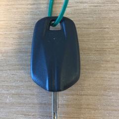 車のカギ がiLostで Keukenhof によって報告されました