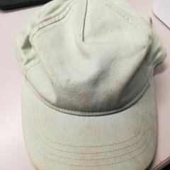 Petje, segons ha informat Burgers' Zoo mitjançant iLost