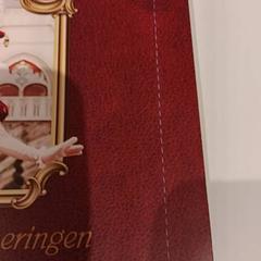 Attractiefoto symbolica, as reported by De Efteling using iLost