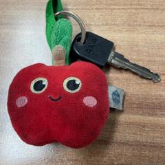 Kľúč od bicykla, ako bolo nahlásené Pathé Amersfoort pomocou iLost