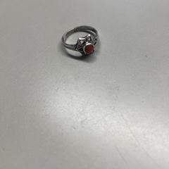 Bague Zilver, a été signalé par Burgers' Zoo utilisant iLost