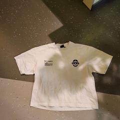 T shirt, as reported by Room Mate Bruno using iLost