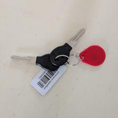 Sleutelbos met tag, segons s'ha informat a iLost