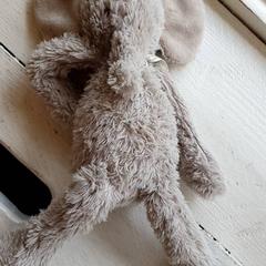 Olifantenknuffel, ha sido reportado por DierenPark Amersfoort con iLost