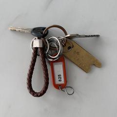 Sleutels, como reportado ao iLost