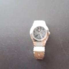 Armbanduhr, gemeldet von Apenheul über iLost