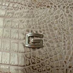 Brieftasche Hegge, gemeldet von GVB über iLost