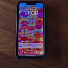 Iphone, as reported to iLost