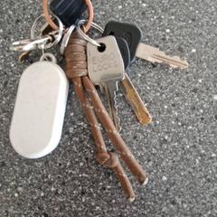 المفاتيح (متنوعة)، كما تم الإبلاغ عنه بواسطة Connexxion Amstelveen عبر iLost