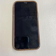 iPhone, as reported by GVB using iLost