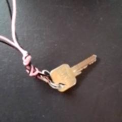 Chave Roze/zwarte sleutelhanger, como reportado por Apenheul utilizando o iLost
