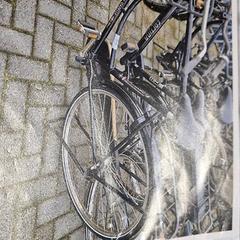 İLost kullanarak Gemeente Roermond tarafından bildirildiği gibi Kadın bisikleti