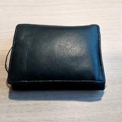 Peněženka - Steppe, jak nahlášeno Centraal magazijn pomocí iLost