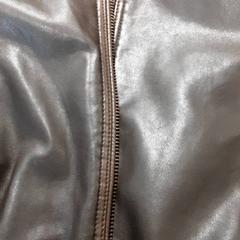 Bunda Bruin, jak nahlášeno Arriva Friesland / Groningen pomocí iLost