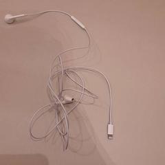 Auricular, segons ha informat Van der Valk Hotel Schiphol mitjançant iLost