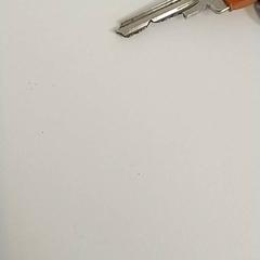 İLost kullanarak Centraal magazijn tarafından bildirildiği gibi Anahtarlar