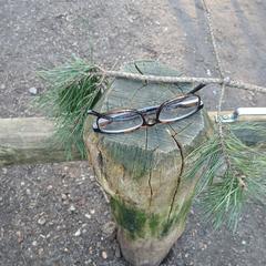 Leesbril, iLost'a bildirildiği gibi