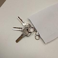 Přívěsek na klíče, jak nahlášeno ilévia pomocí iLost