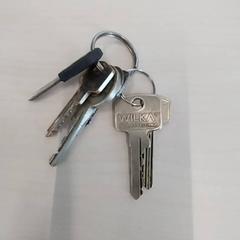 المفاتيح (متنوعة) & سلسلة المفاتيح، كما تم الإبلاغ عنه بواسطة Arriva Limburg Zuid عبر iLost