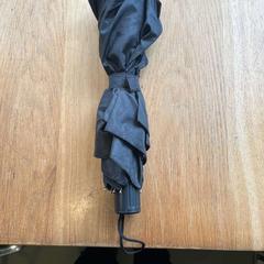 Umbrella zwart, as reported by Hortus using iLost