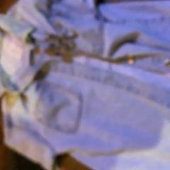 السراويل القصيرة Spijkerjas، كما تم الإبلاغ عنه بواسطة Café Leentje عبر iLost