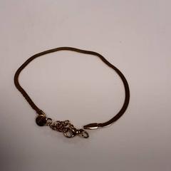 Pulseira, segundo informou Diergaarde Blijdorp usando iLost