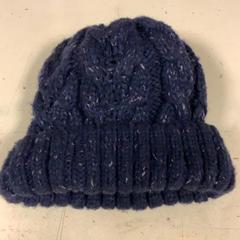 비니 Blauw, iLost를 사용하여 Artis에 보고됨