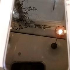 Telefon, amint azt RRReis IJssel-Vecht az iLost segítségével jelentette.