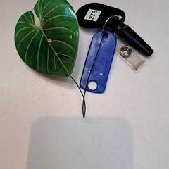 Sleutelhanger, como reportado por Rijksmuseum van Oudheden utilizando o iLost