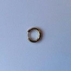 Oorbel earing gold, zoals gemeld door Hotel Apeldoorn met iLost