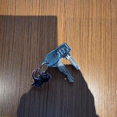 Kľúčenka op sterkte, ako bolo nahlásené Regio Limburg - Leuven pomocou iLost