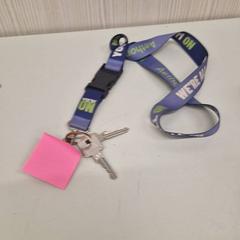 İLost kullanarak Transdev Gooi en Vechtstreek tarafından bildirildiği gibi Anahtarlık & Kayış sleutelbis