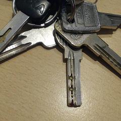 سلسلة المفاتيح، كما تم الإبلاغ عنه بواسطة Walibi Holland عبر iLost