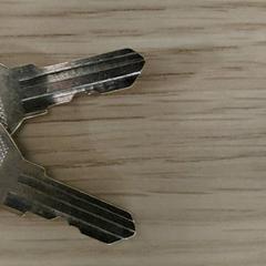 Schlüssel, gemeldet von Regio Antwerpen - Brussel über iLost