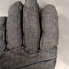 Hansker Grijs, som rapportert av Arriva Friesland / Groningen ved bruk av iLost