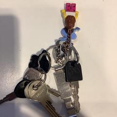 İLost kullanarak Gemeente Amsterdam tarafından bildirildiği gibi Anahtar