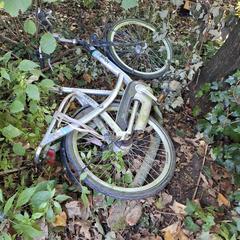 Rivel fiets, jak bylo nahlášeno na iLost