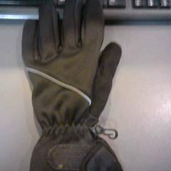 Handschuh, gemeldet von SnowWorld Landgraaf über iLost