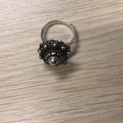 Anell, segons ha informat Gemeente Arnhem mitjançant iLost